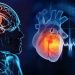 Why is caution necessary for stroke patients during the rainy season