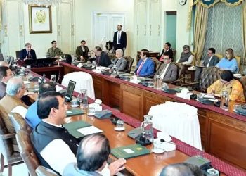 Decision to digitize asset declarations of government officials.
