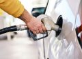 How much tax and levy is the government collecting on petroleum products