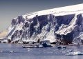 Hundreds of earthquakes discovered under Antarctica's glacier, scientists are also worried