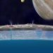 Jupiter's moon Europa has twice as much water under its oceans as Earth's