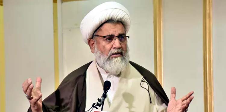 Pakistan's system has fallen prey to disarray, says Raja Nasir Abbas.