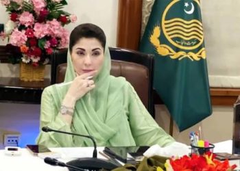 Pakpattan assembly members meet Chief Minister Maryam Nawaz, discuss development projects