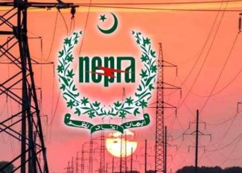 Petition against slab system in electricity bills, detailed response sought from NEPRA