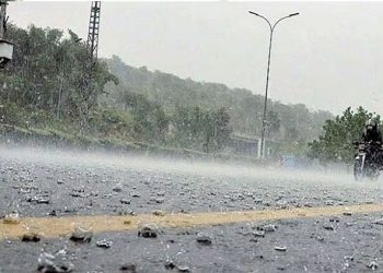 Rain has enlivened the atmosphere in Punjab, while strong winds have made the weather pleasant.
