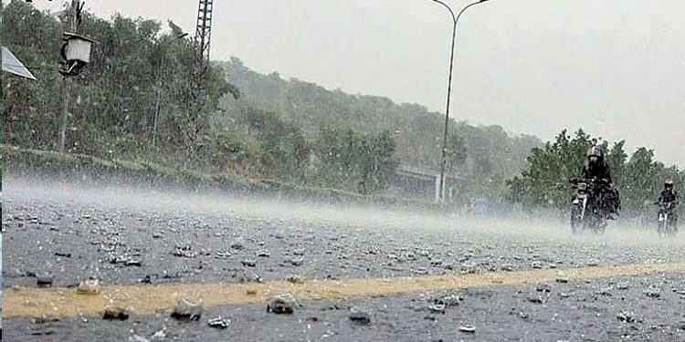 Rain has enlivened the atmosphere in Punjab, while strong winds have made the weather pleasant.