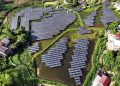 Reduction in carbon emissions and increase in the use of electric vehicles in China.