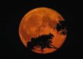 The Harvest Moon will shine in the sky on September 26.