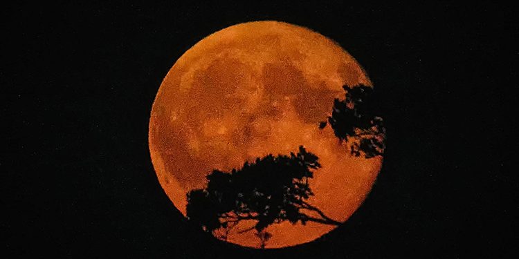 The Harvest Moon will shine in the sky on September 26.