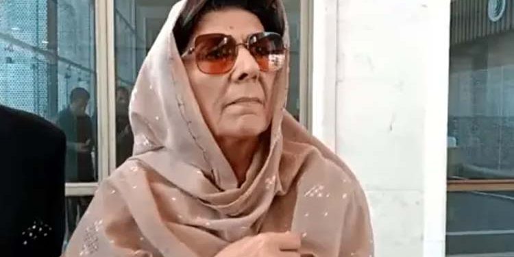 Verdict on the November 26 protest case against Aleema Khan deferred.