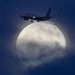 A mysterious world hidden beneath the moon; NASA’s search for concealed ice and human bases.