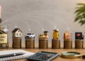 A salary of 50,000—how will the household expenses be met