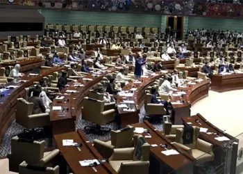 Alleged irregularities in Sindh's local government institutions, decision to conduct budget audit