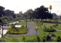 Approval granted to establish Parks and Horticulture Authorities in every district of Punjab; 2,820 new positions to be filled.