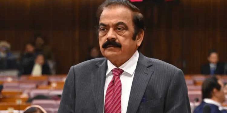 Fazl-ur-Rehman stood by us during difficult times; we will make efforts to resolve any bitterness, says Rana Sanaullah.