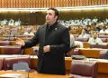 پارلیمان طاقتور ہوگی تو ہم سب طاقتور ہوں گے،بلاول بھٹو زرداری