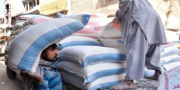 In Punjab, the 20kg flour bag has been discontinued; only 10kg flour bags will be sold in the market.