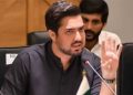 Iqrar-ul-Hassan's bail granted, Karachi court orders his release