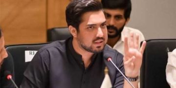 Iqrar-ul-Hassan's bail granted, Karachi court orders his release
