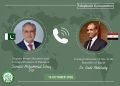 Ishaq Dar telephones Egyptian Foreign Minister, discusses regional situation