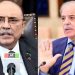 Kashmir Black Day, President Zardari and Prime Minister Shehbaz Sharif express solidarity with the Kashmiri people