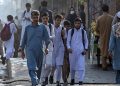 Normal life has been restored in Peshawar; schools have reopened, and BRT service and internet connectivity have also been restored.