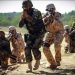 Operation Radd-ul-Fasaad-III in Balochistan 6 terrorists killed.
