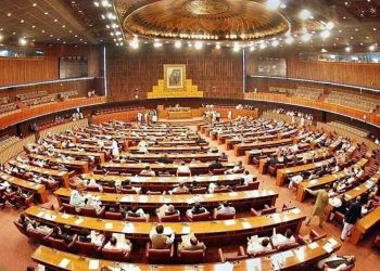 Resolution in support of the Kashmiri people's right to self-determination passed in the National Assembly