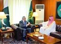 سعودی سفیر کی اسحاق ڈار سے ملاقات، پاک سعودی اسٹریٹجک شراکت داری مزید مضبوط بنانے کے عزم کا اعادہ
