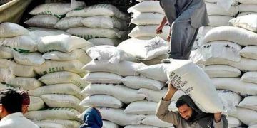 Severe shortage of 20kg flour bags in Lahore; the reason has been revealed.