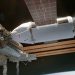 SpaceX will send advanced research equipment and other supplies to the space station today.