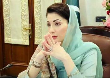 Special committee led by Haroon Akhtar meets with Punjab Chief Minister Maryam Nawaz