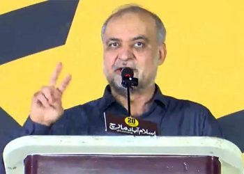 The government is providing protection to the mafia, while the public is being made a scapegoat, says Hafiz Naeem-ur-Rehman.