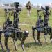 US Army combat robots ready