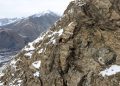 Winners of global photography competition announced; photos of hidden snow leopard cubs stand out.
