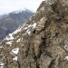 Winners of global photography competition announced; photos of hidden snow leopard cubs stand out.